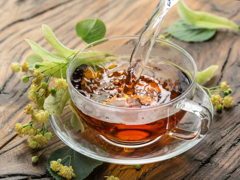 Чому варто пити чай із шавлією? Лікувальні властивості шавлії?